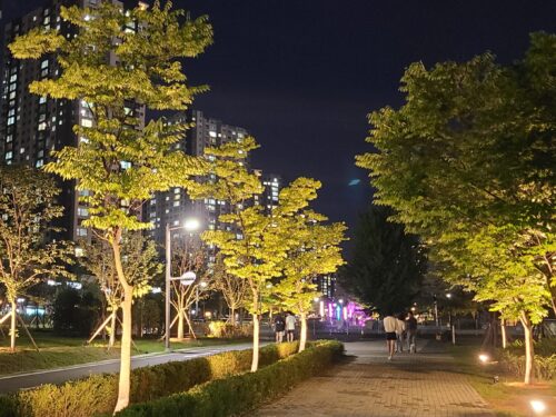 천안 불당아름드리공원 수목등